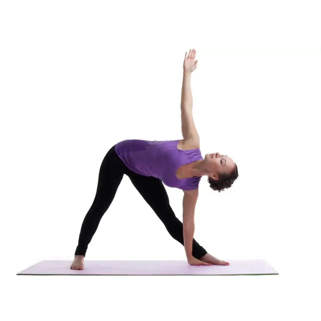 Image_Editor (12).webp