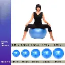 fitball .webp