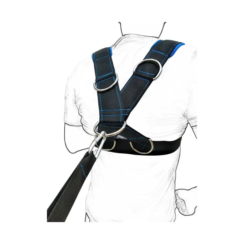 Diapositiva1-6.webp