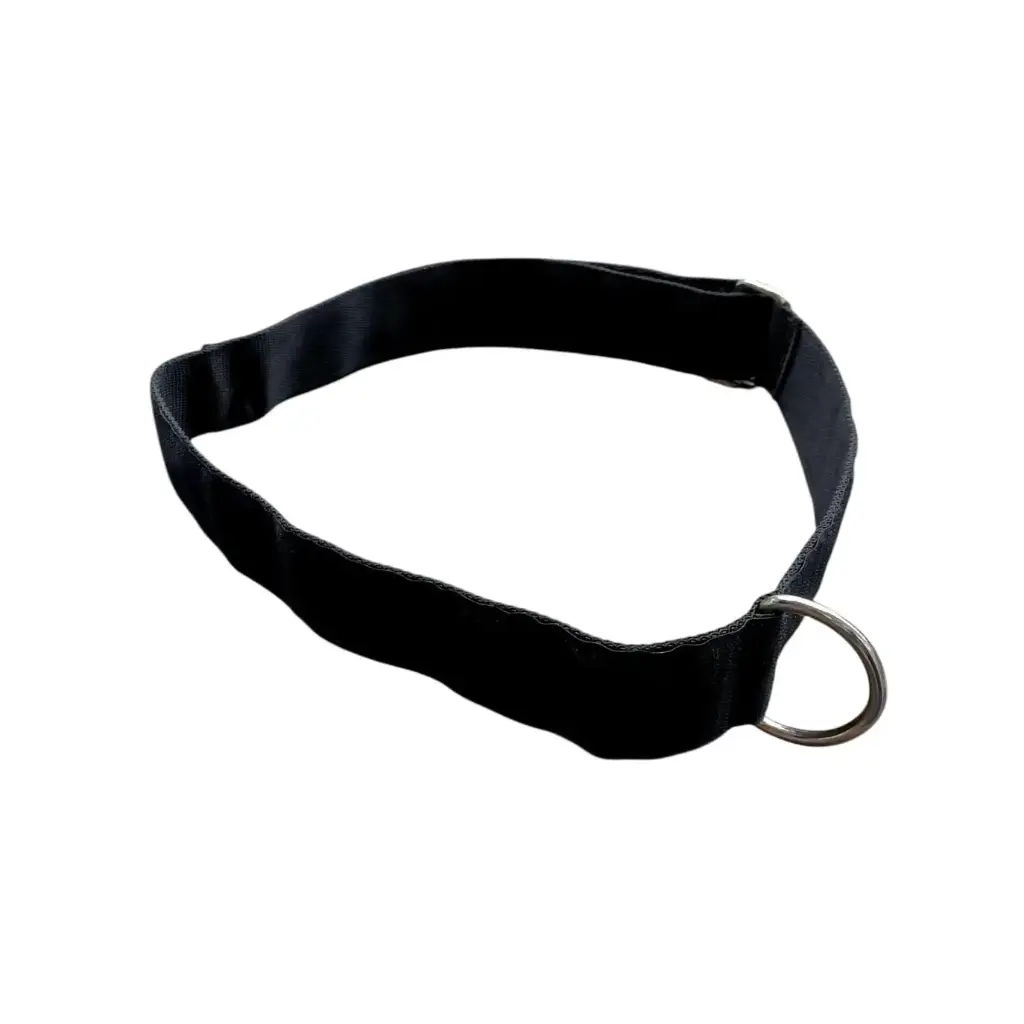 Cinturon con gancho ags