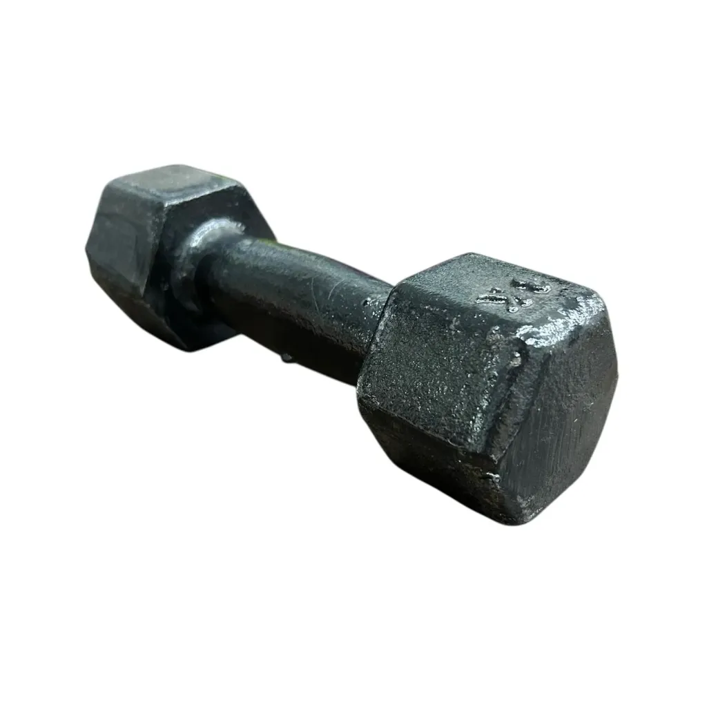 Mancuerna de fundicion premium 3kg