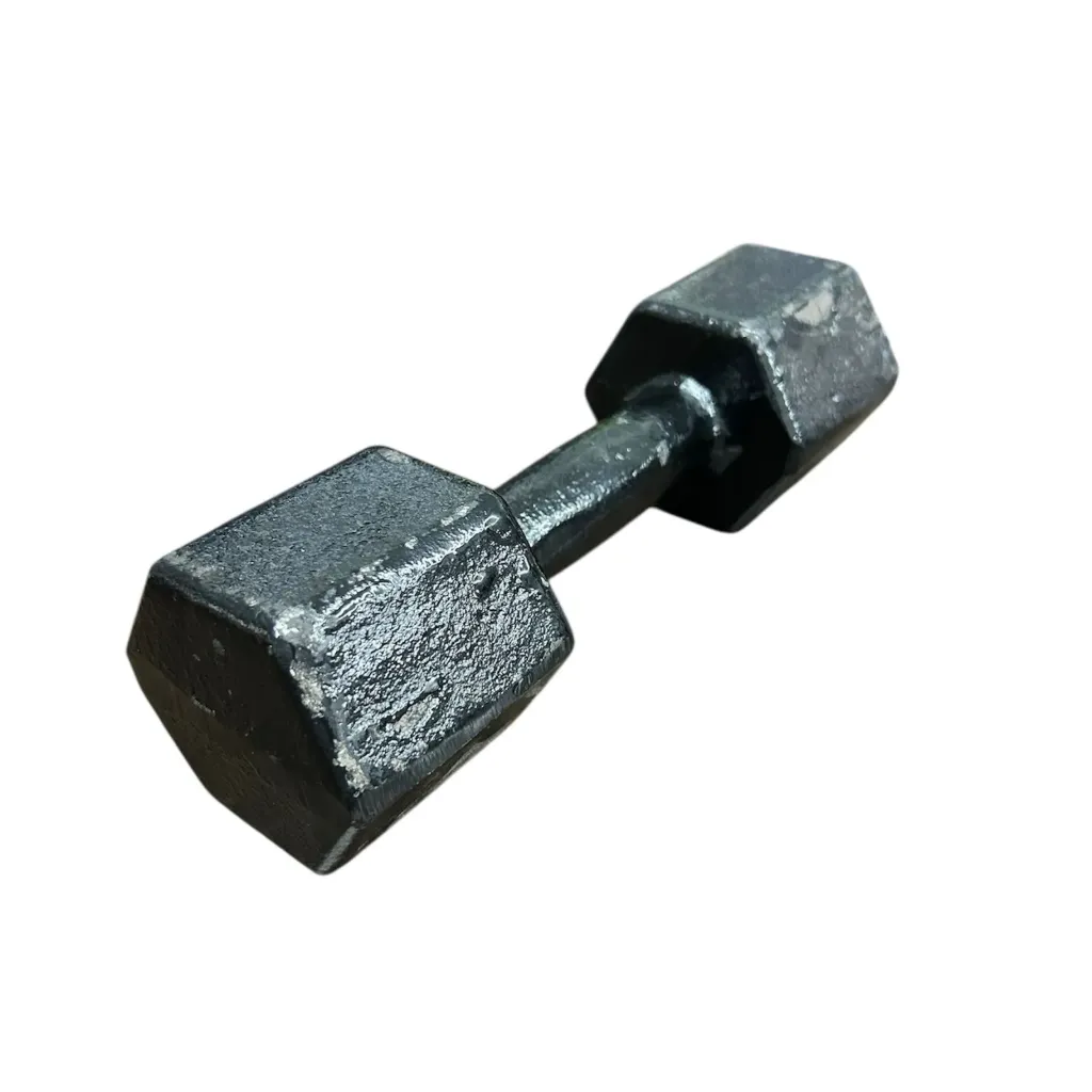 Mancuerna de fundicion premium 5kg