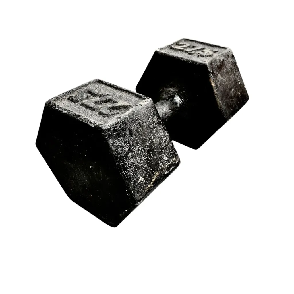 Mancuerna de fundicion premium 27,5kg