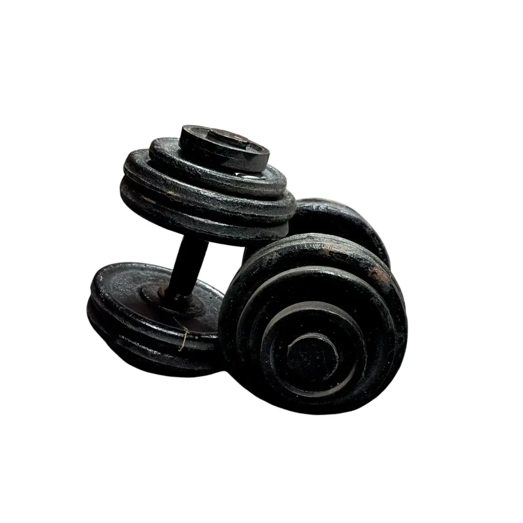 [11882] Par de mancuernas californianas 27,5kg