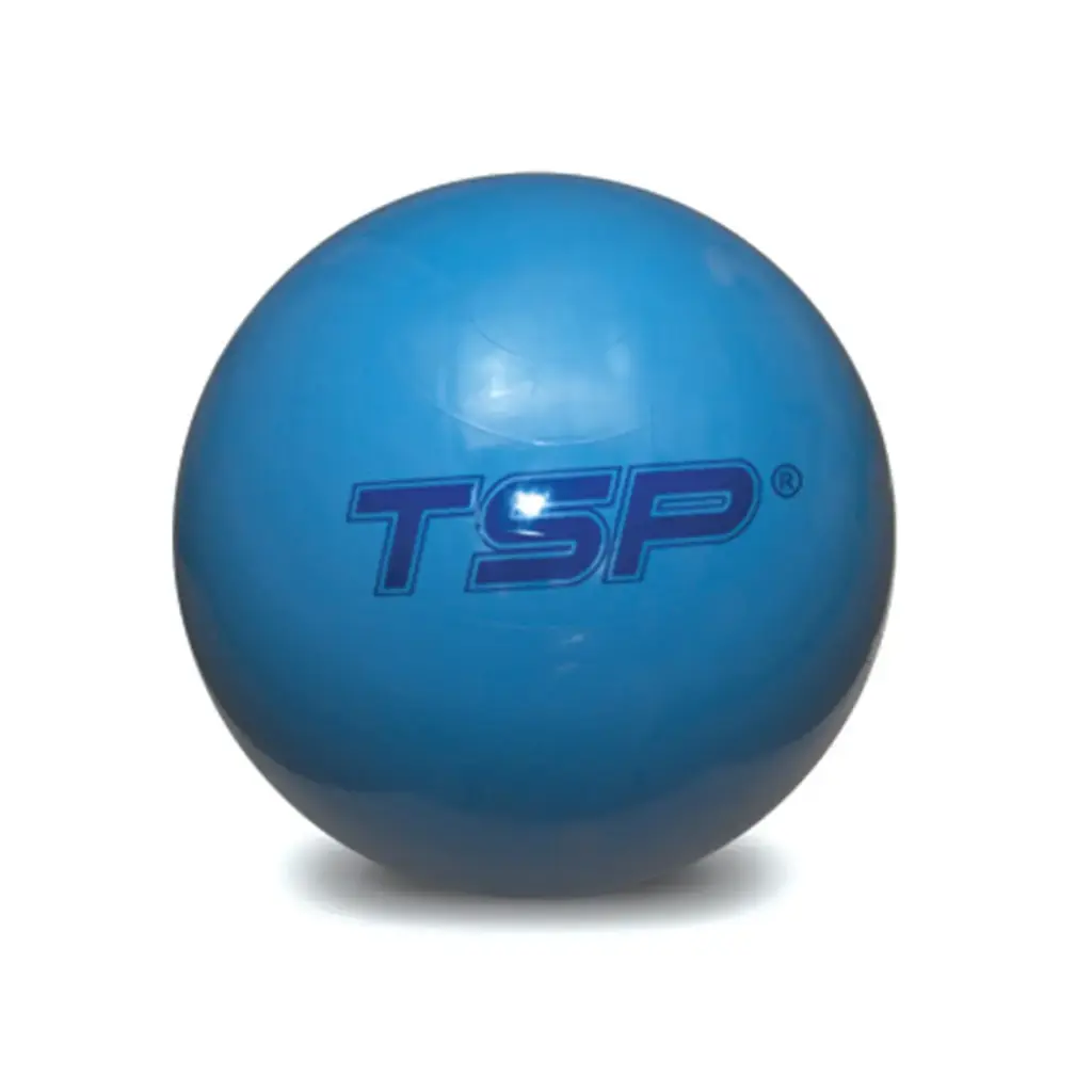 Pelota fitball - diametro 65cm reforzada tsp