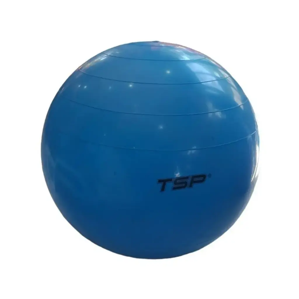 Pelota fitball - diametro 85cm reforzada tsp