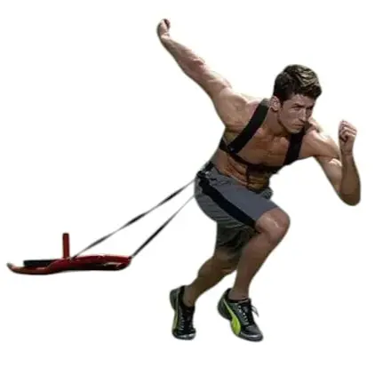 Trineo lastre arrastre y empuje ags (incluye banda y cinturon)