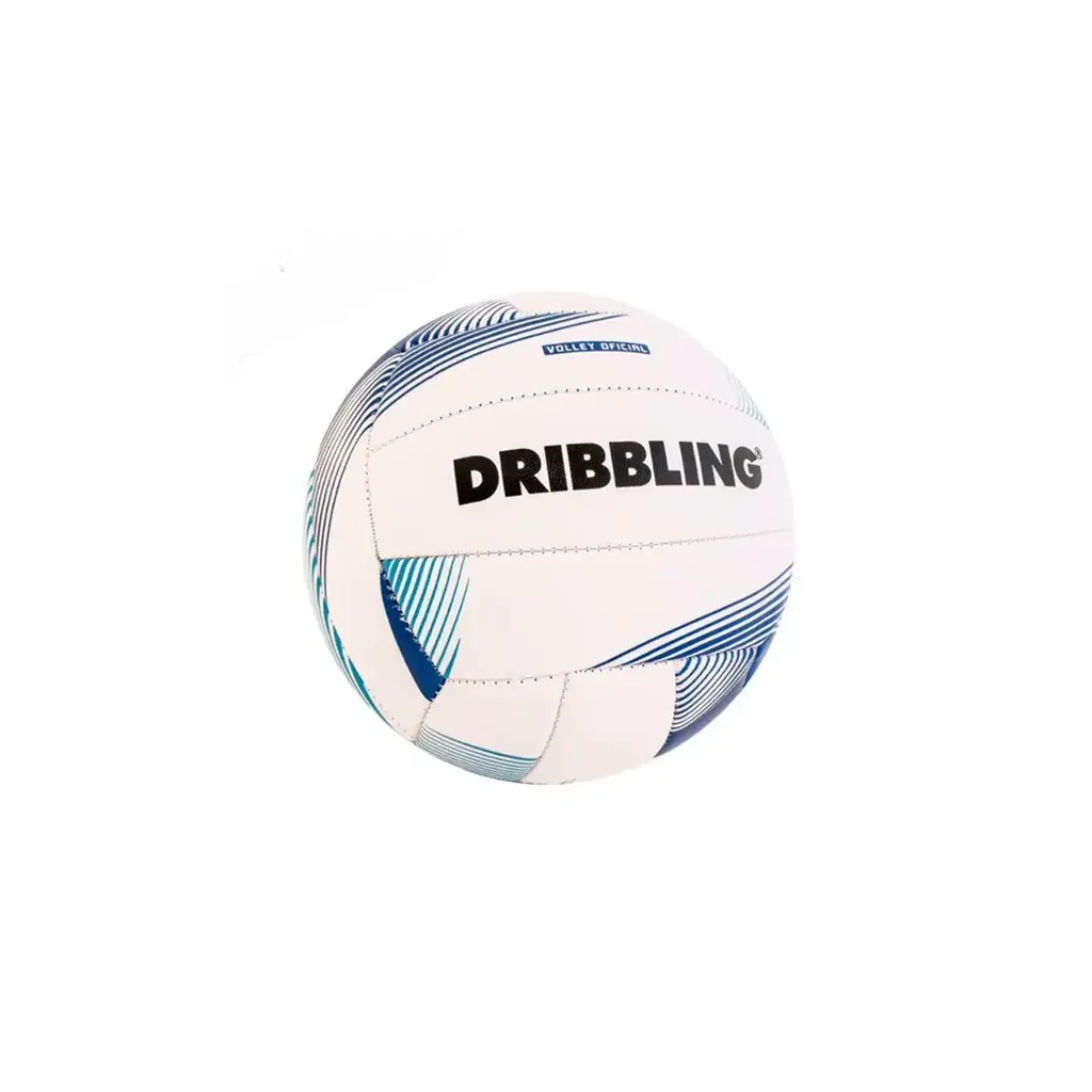 [11396] Pelota de voley classic 1.0 drb