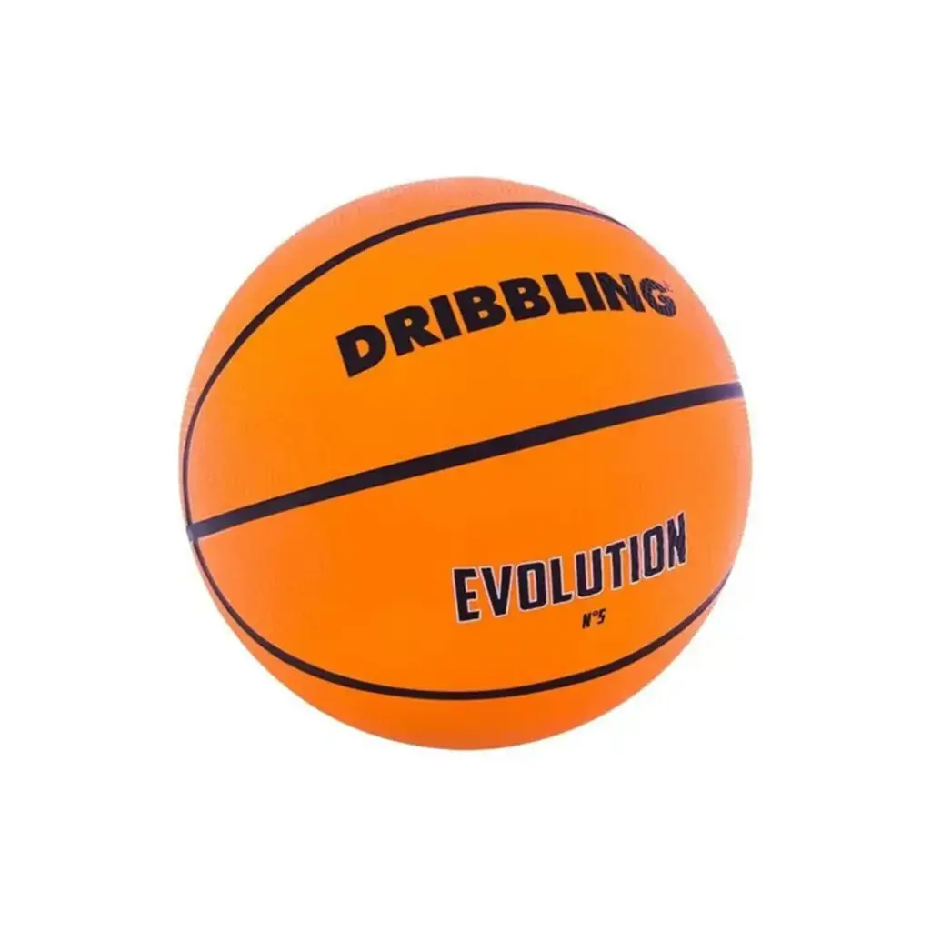 Pelota basket nº5 evolution drb