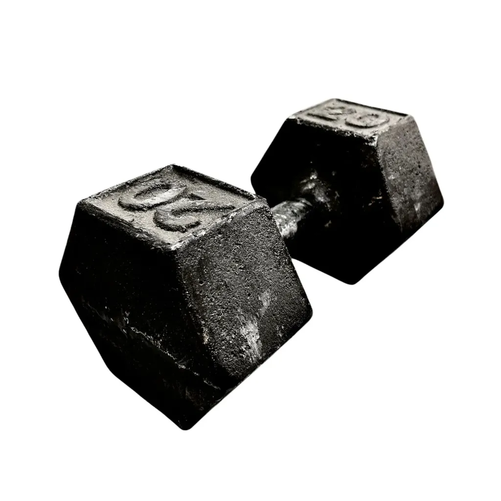 Mancuerna de fundicion premium 20kg 