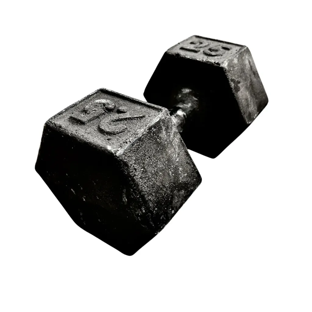 Mancuerna de fundicion premium 25kg  