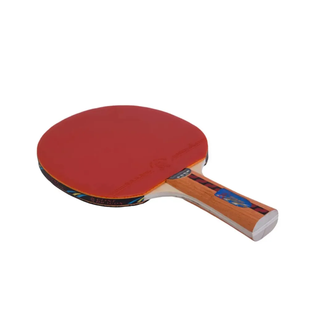 Paleta ping pong giantdragon 5 star Collider