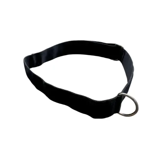 [10047] Cinturon con gancho ags