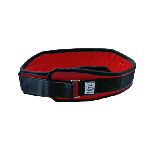 [10050] Cinturon de proteccion lumbar ags de cuero talle 2