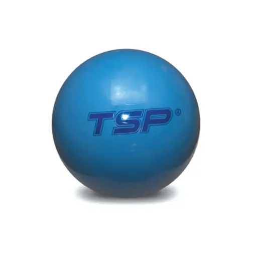 [10262] Pelota fitball - diametro 55cm reforzada tsp